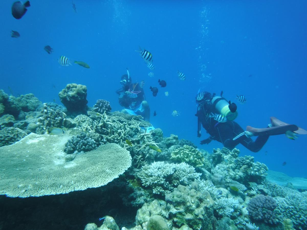Okinawa Hostel Yanbaru Fukuro ناغُ المظهر الخارجي الصورة